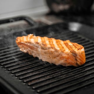 Salmon